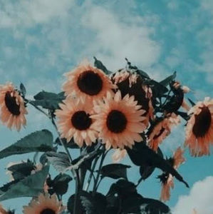 Meet your Posher, Jenine